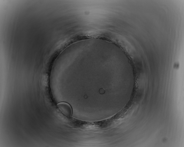 X0000103140689200808291339