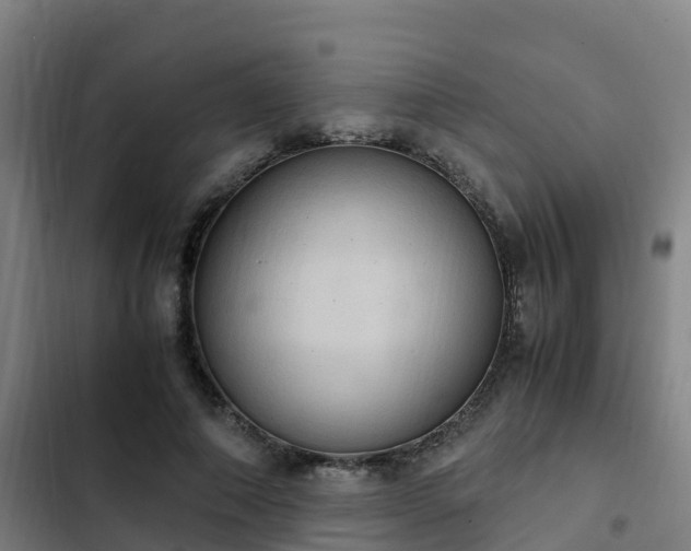 X0000103140690200808291339