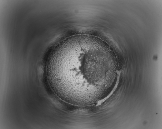 X0000103140691200808291339