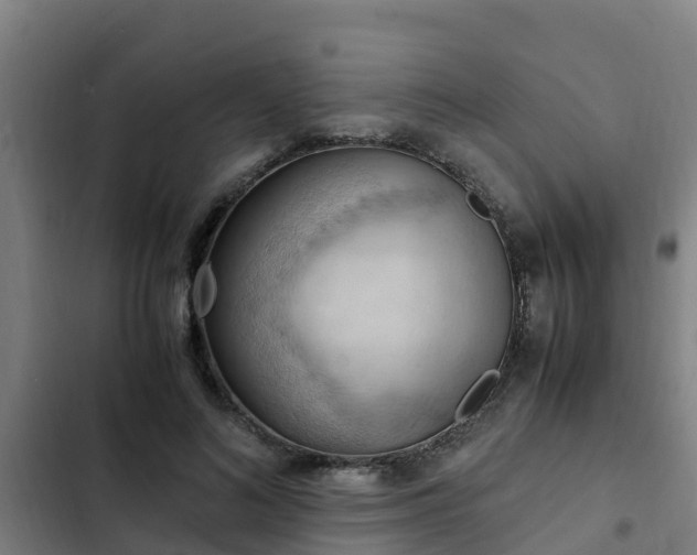 X0000103140692200808291339