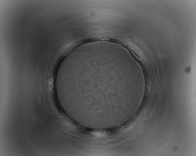 X0000103140693200808291339