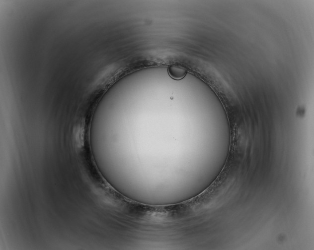 X0000103140694200808291339