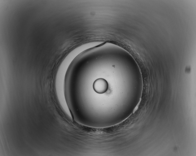 X0000103140695200808291339