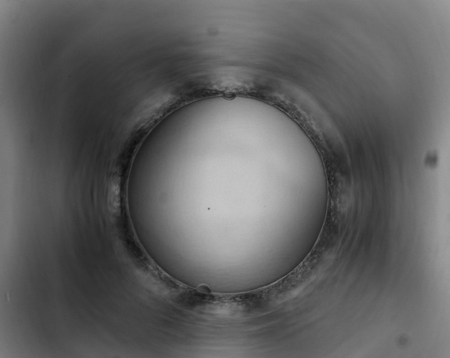 X0000103140696200808291339