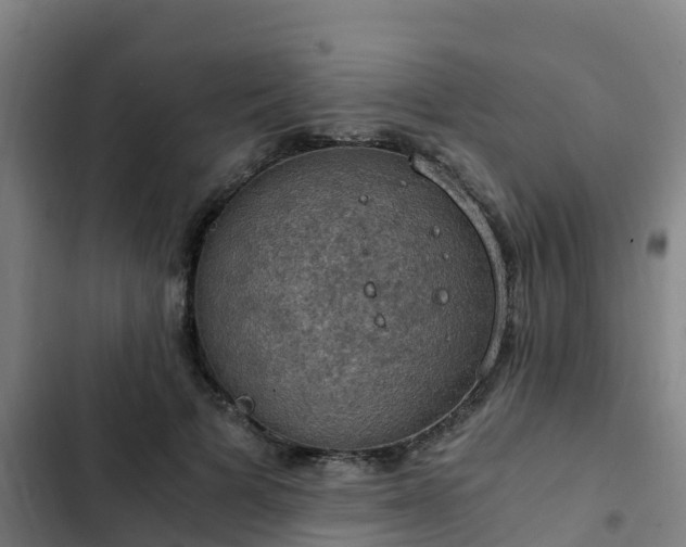 X0000103140697200808291339