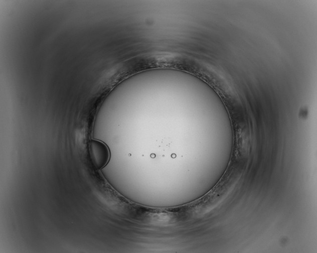 X0000103140698200808291339