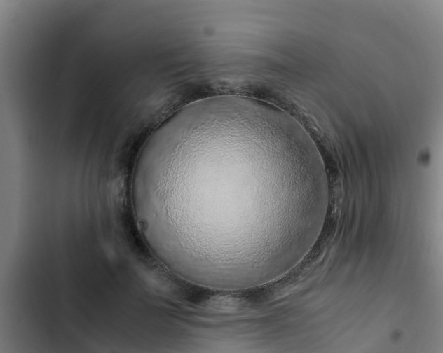 X0000103140699200808291339