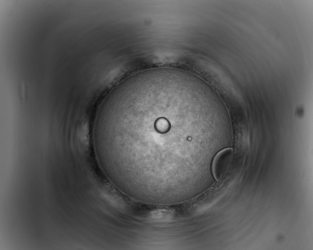 X0000103140700200808291339