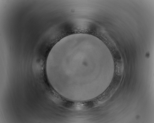 X0000103140701200808291339