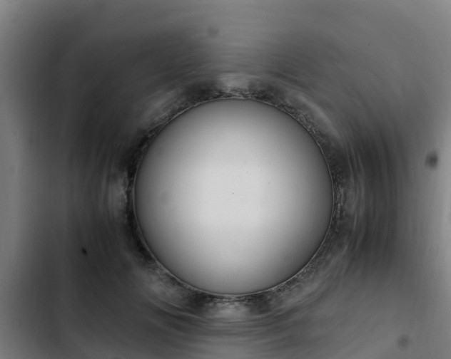 X0000103140702200808291339