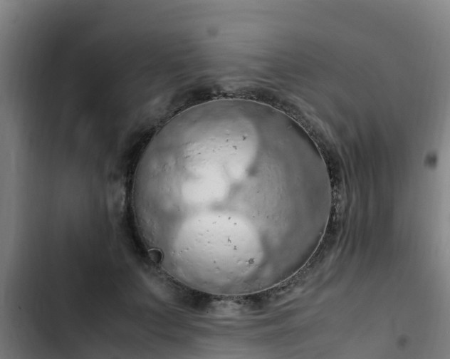 X0000103140703200808291339