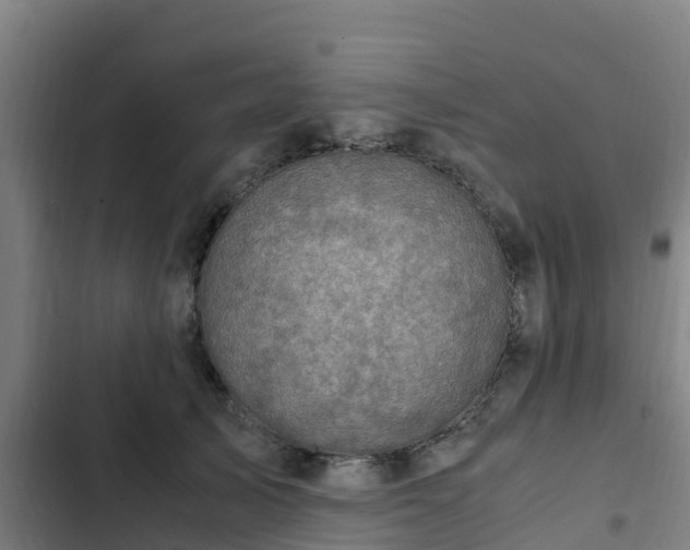 X0000103140705200808291339