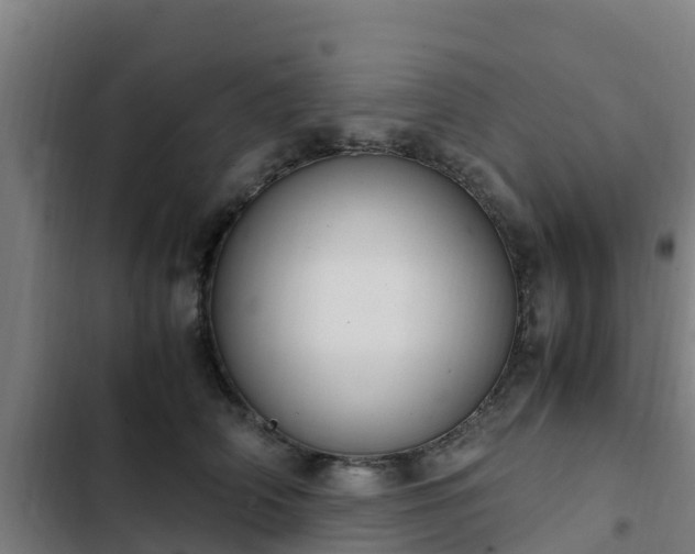 X0000103140706200808291339