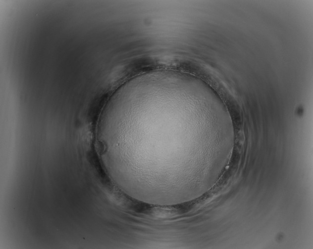 X0000103140707200808291339