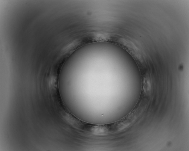 X0000103140714200808291338