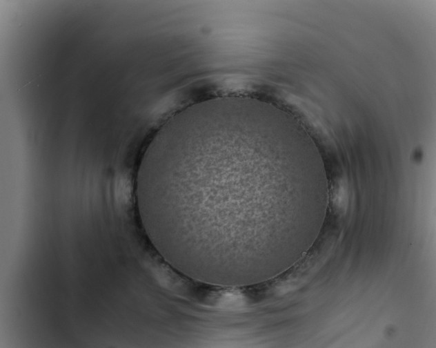 X0000103140715200808291338