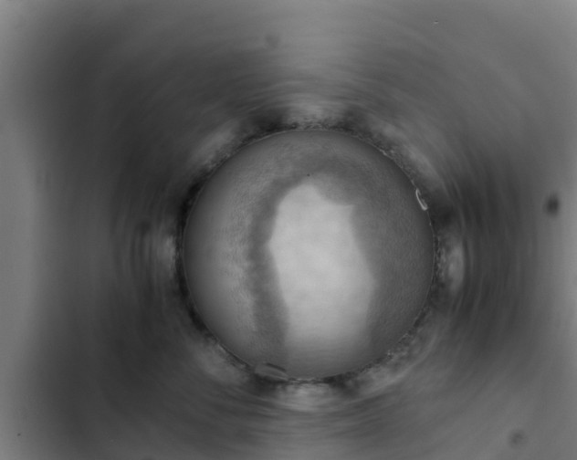 X0000103140716200808291338