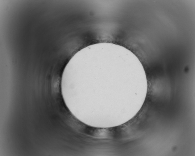 X0000103140717200808291338