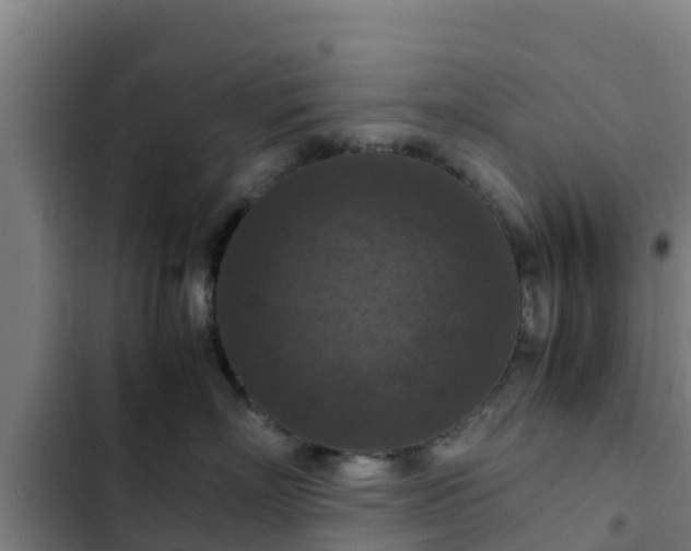 X0000103140718200808291338