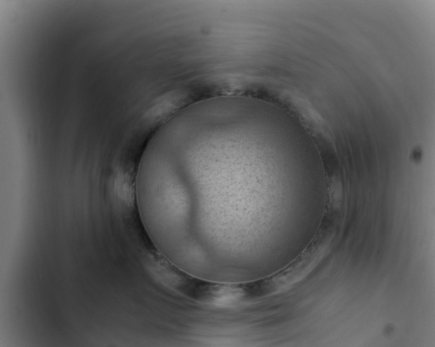 X0000103140719200808291338