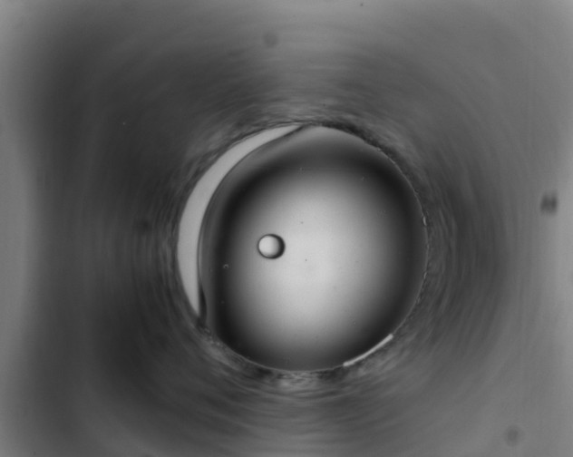 X0000103140720200808291338