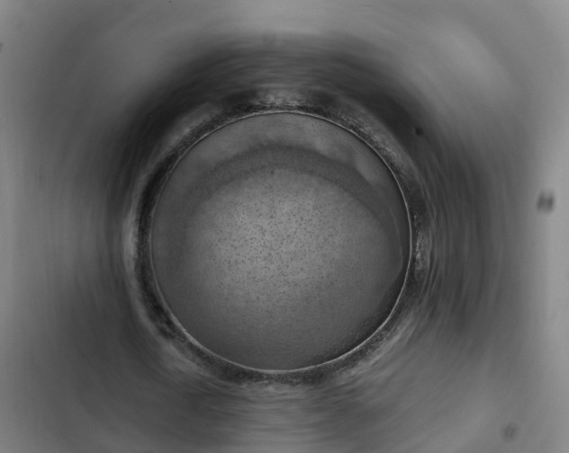 X0000103140722200808291338