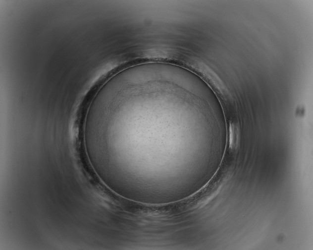 X0000103140723200808291338