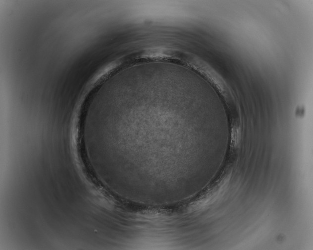 X0000103140724200808291338