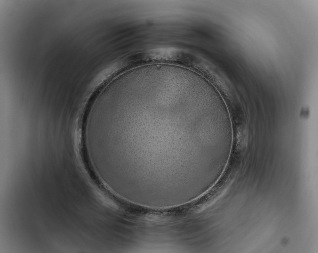 X0000103140725200808291338