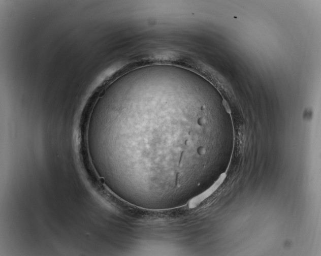 X0000103140726200808291338