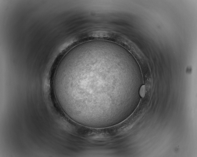 X0000103140727200808291338