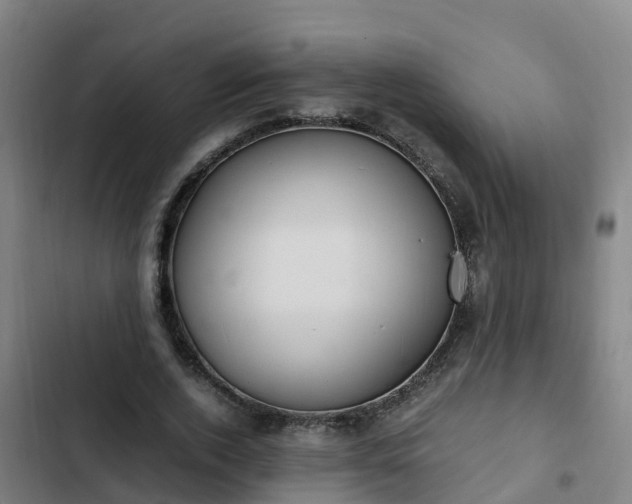 X0000103140728200808291338