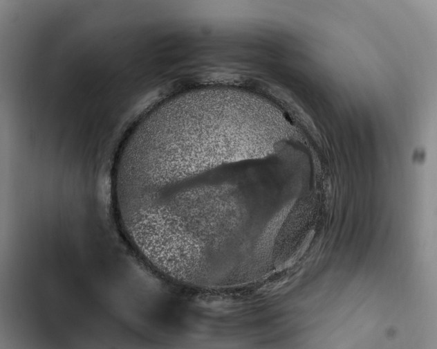 X0000103140729200808291338