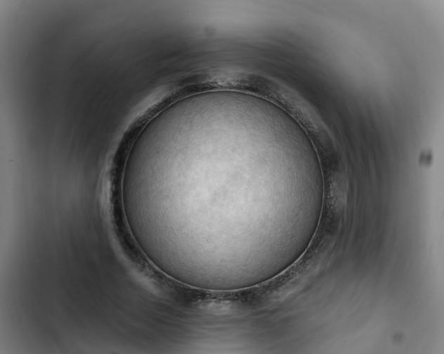 X0000103140730200808291338