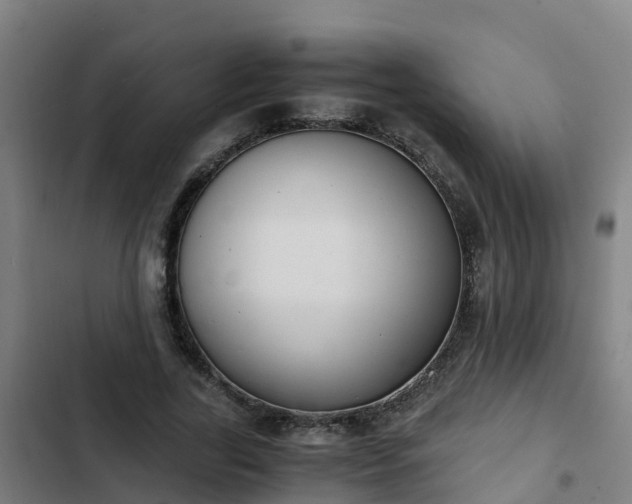 X0000103140731200808291338