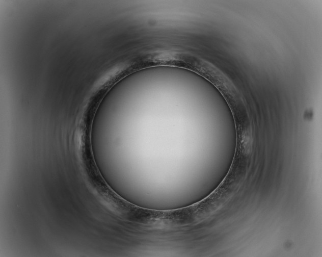 X0000103140732200808291338