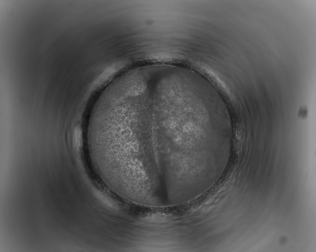 X0000103140734200808291338