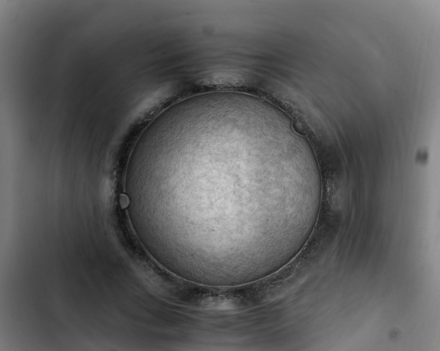 X0000103140735200808291338