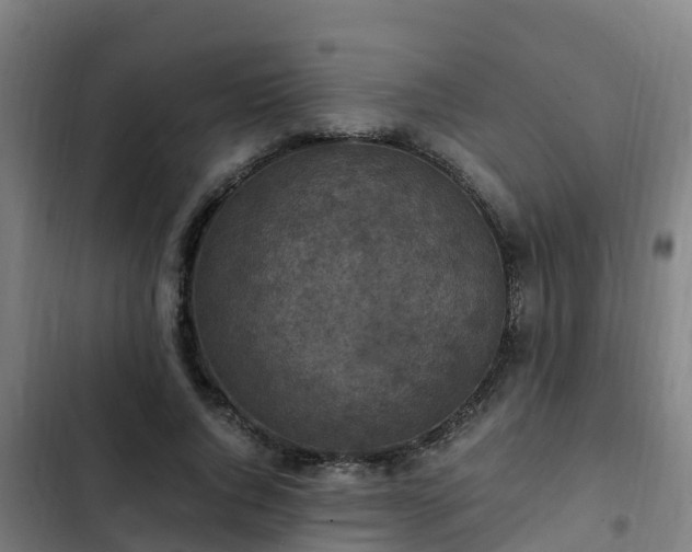 X0000103140736200808291338