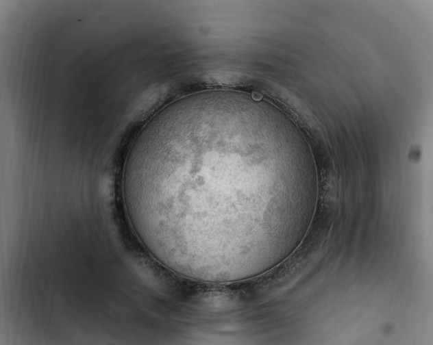 X0000103140738200808291338