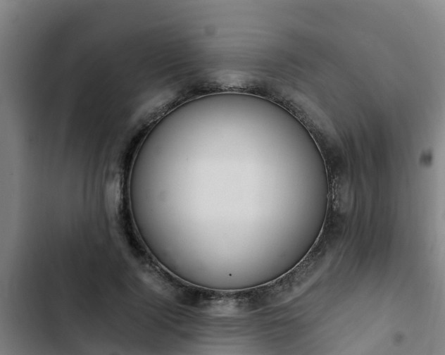 X0000103140740200808291338