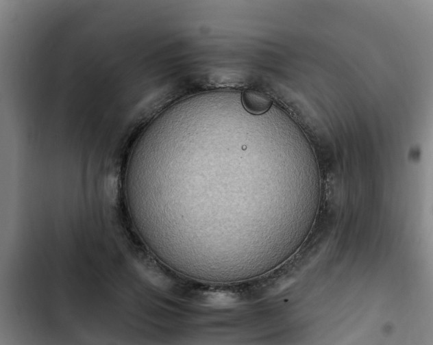 X0000103140741200808291338