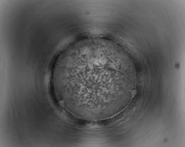 X0000103140742200808291338