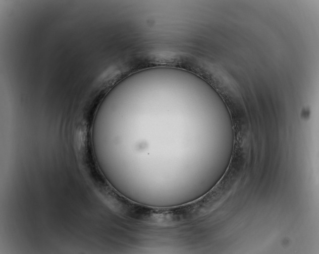 X0000103140744200808291338