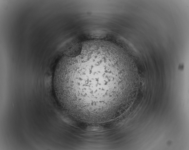 X0000103140745200808291338