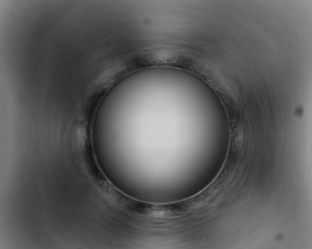 X0000103140746200808291338