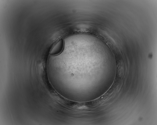 X0000103140747200808291338