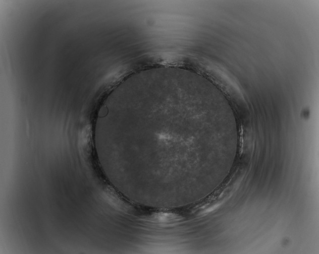 X0000103140748200808291338