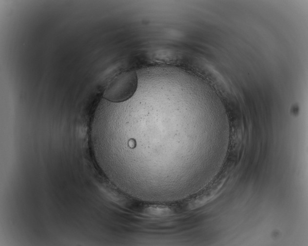 X0000103140749200808291338