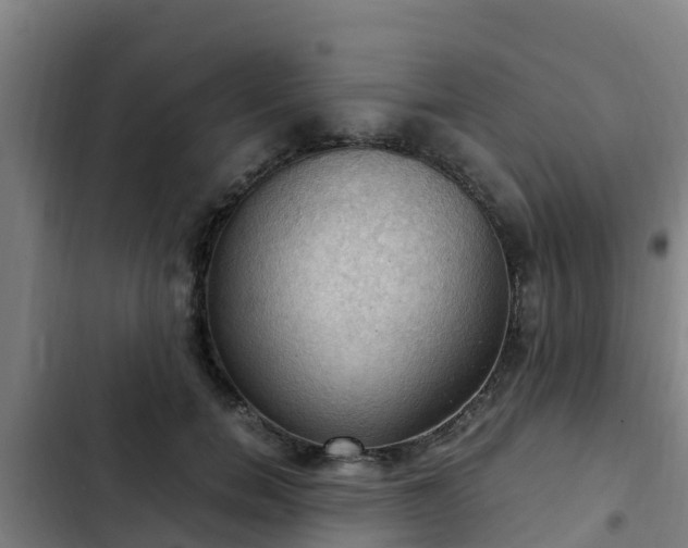 X0000103140750200808291338